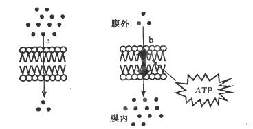 www.ziyuanku.com