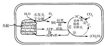 www.ziyuanku.com