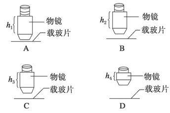 www.ziyuanku.com