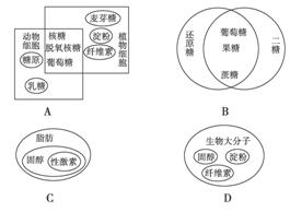 www.ziyuanku.com