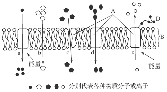 www.ziyuanku.com