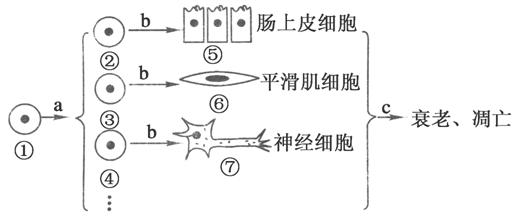 www.ziyuanku.com