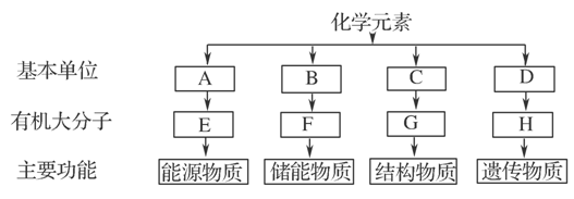 www.ziyuanku.com