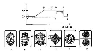 www.ziyuanku.com