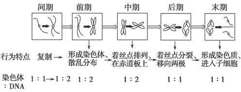 www.ziyuanku.com