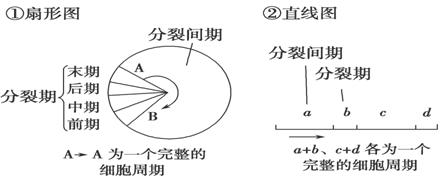 www.ziyuanku.com