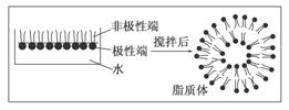 www.ziyuanku.com