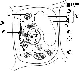 www.ziyuanku.com