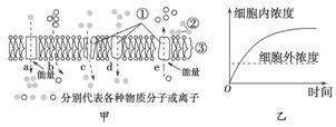 www.ziyuanku.com