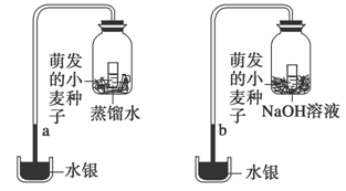 www.ziyuanku.com