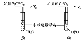 www.ziyuanku.com