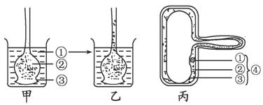 www.ziyuanku.com