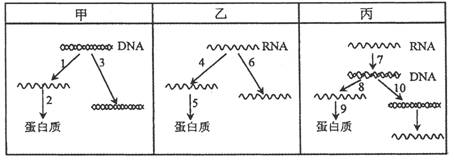 www.ziyuanku.com