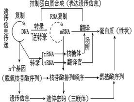 www.ziyuanku.com