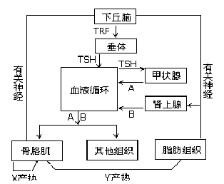 www.ziyuanku.com