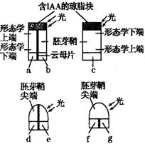 www.ziyuanku.com