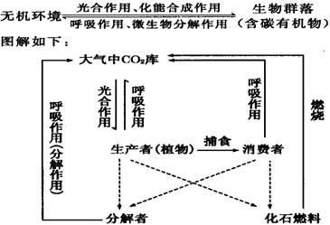 www.ziyuanku.com