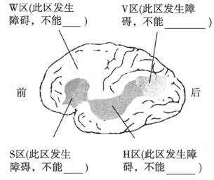 www.ziyuanku.com