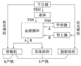 www.ziyuanku.com