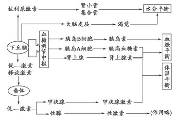 www.ziyuanku.com