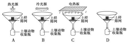 www.ziyuanku.com